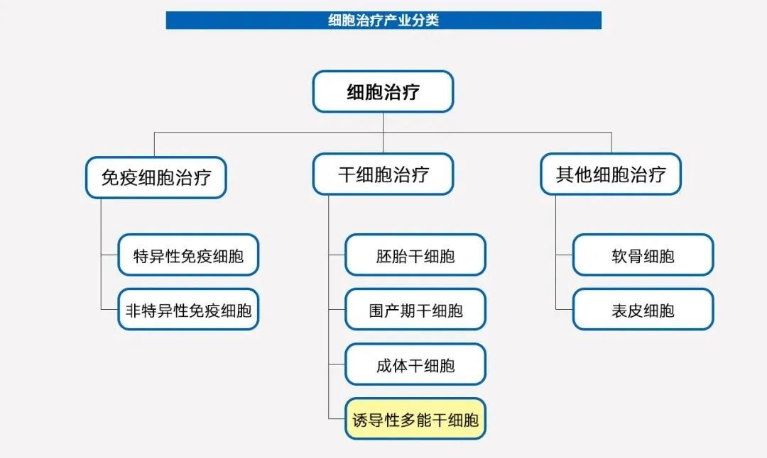 细胞治疗时代来临，诱导多能干细胞（iPSC）或成最优解！