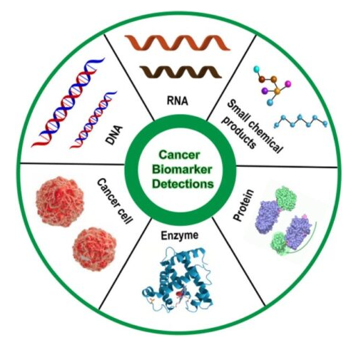 癌症生物标志物在临床应用中的作用？