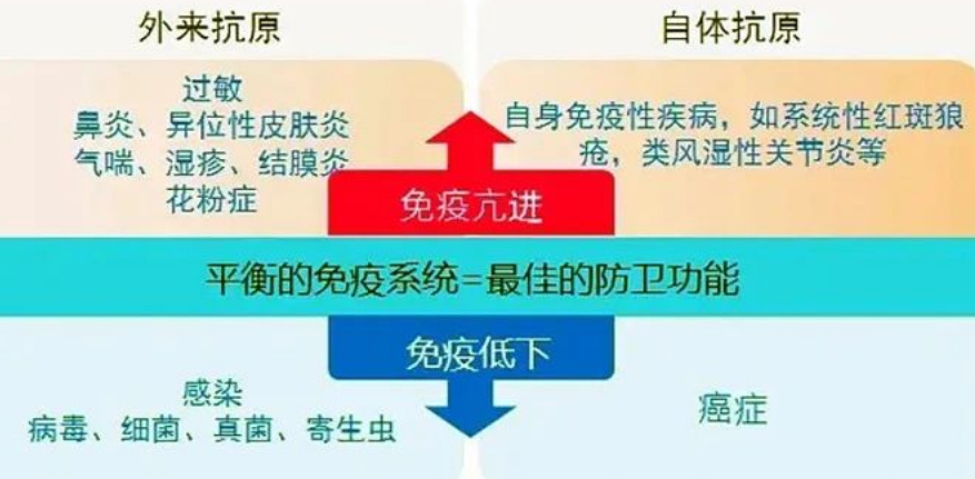 被誉为“细胞导弹”的CIK免疫细胞疗法到底有什么特殊的作用