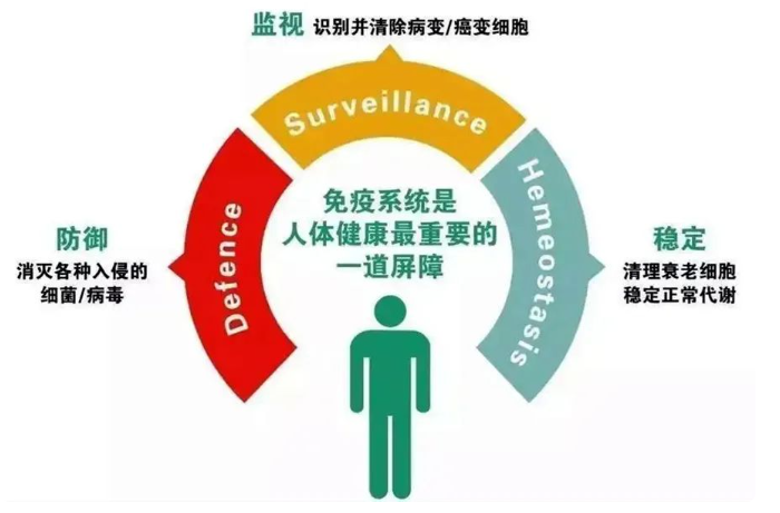 被誉为“细胞导弹”的CIK免疫细胞疗法到底有什么特殊的作用