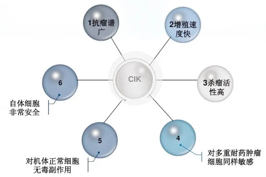 被誉为“细胞导弹”的CIK免疫细胞疗法到底有什么特殊的作用