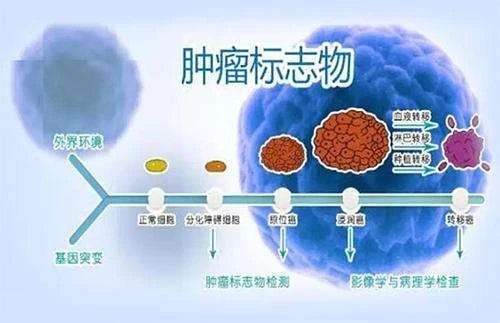 如何科学看待“细胞免疫疗法”与“肿瘤标志物”