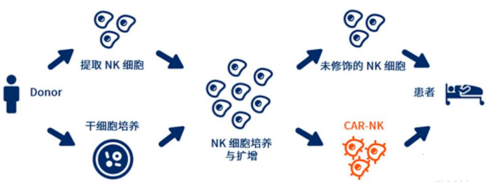 CAR-NK细胞疗法：更具安全性、实用性、经济性的肿瘤免疫治疗新技术