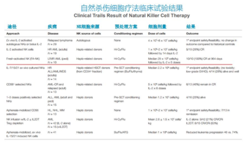 先天性免疫细胞的核心细胞（NK细胞）不仅能抗癌还能抗衰老