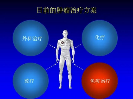 肿瘤免疫治疗一般都适合哪些人？