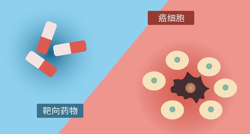 一文读懂肿瘤免疫治疗、靶向治疗的区别