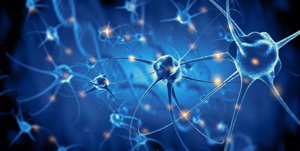 干细胞疗法有望「唤醒」老年痴呆患者