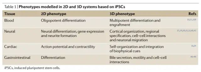 综述 | 诱导多能干细胞 (iPSC) 在疾病建模和药物发现中的应用