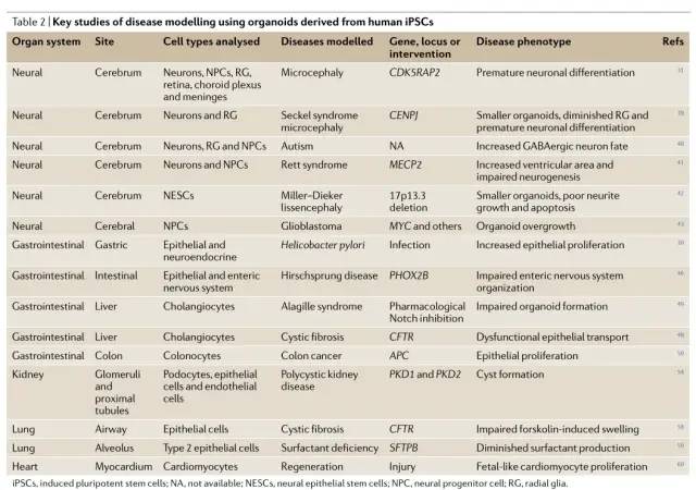 综述 | 诱导多能干细胞 (iPSC) 在疾病建模和药物发现中的应用