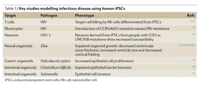 综述 | 诱导多能干细胞 (iPSC) 在疾病建模和药物发现中的应用