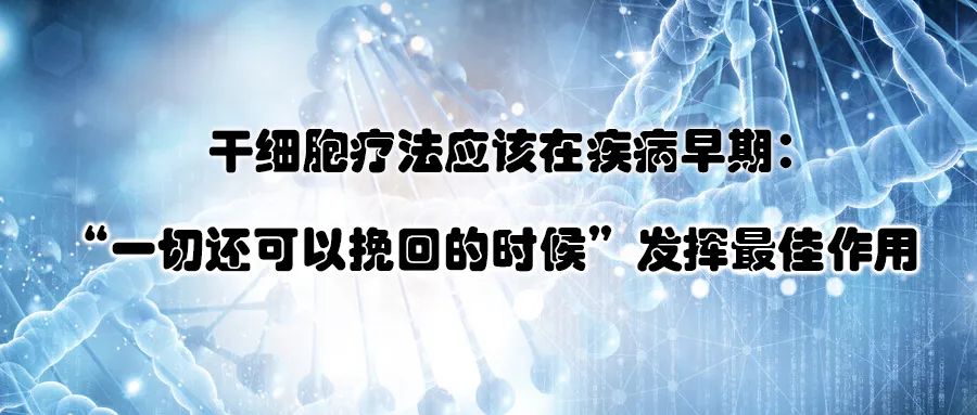 国际学术期刊《Science Direct》揭秘干细胞治疗子宫内膜损伤的机制