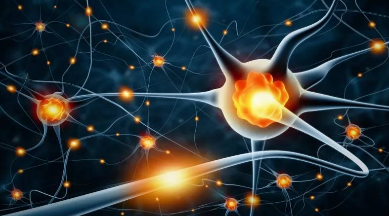 干细胞治疗糖尿病视网膜病变导致的飞蚊症、视力下降、失明等