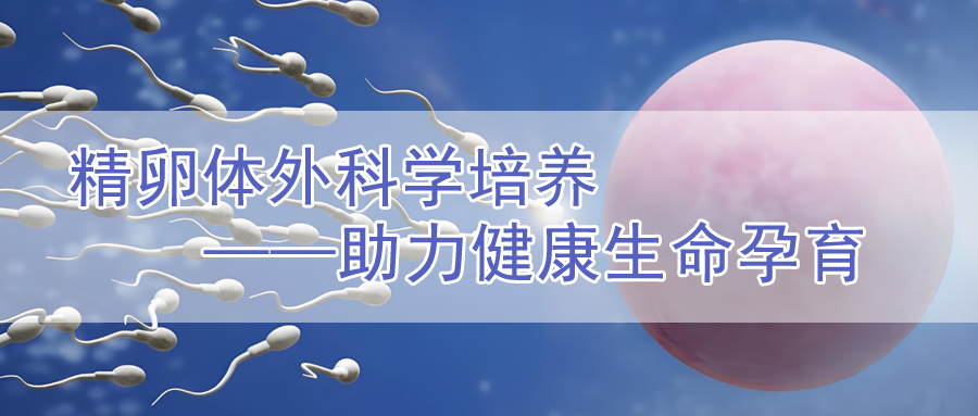 个体化医疗新范式：复杂病因无卵症的